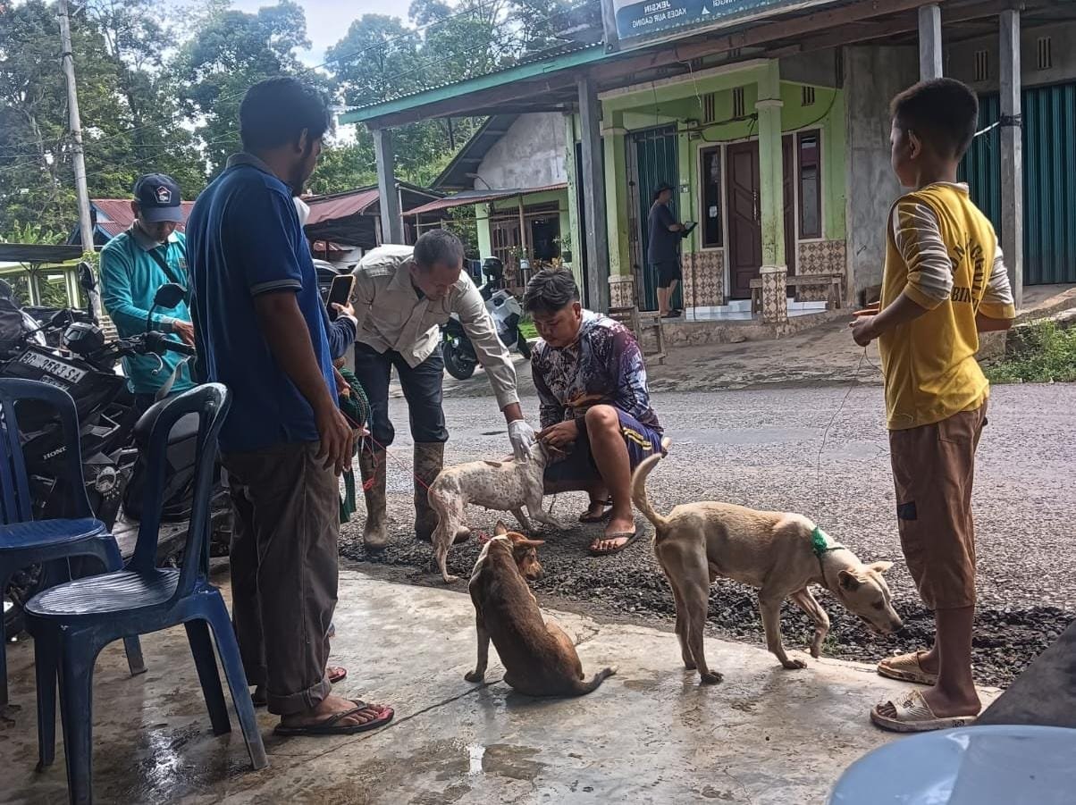 vaksinasi hewan peliharaan berupa kucing dan anjing pada Selasa (16/09/25).