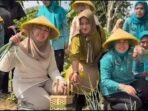 PKK Sumsel dan Kota Palembang gelar panen bersama di Talang Jambe, dorong kemandirian pangan keluarga lewat pemanfaatan lahan pekarangan. PKK Sumsel dan Kota Palembang gelar panen bersama di Talang Jambe, dorong kemandirian pangan keluarga lewat pemanfaatan lahan pekarangan.