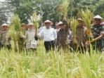 Provinsi Sumatera Selatan mendapat apresiasi dari Kementan RI berkat inovasi Padi Apung dan Gerakan Sumsel Mandiri Benih yang dinilai mampu mendukung swasembada pangan nasional. Provinsi Sumatera Selatan mendapat apresiasi dari Kementan RI berkat inovasi Padi Apung dan Gerakan Sumsel Mandiri Benih yang dinilai mampu mendukung swasembada pangan nasional, Senin (15/9/2025). Foto: Istimewa