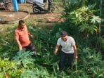 Lurah Pasar Tebing Tinggi, Beniko, ajak RT RW gelar kerja bakti sosial di Pasar Pulo Mas, wujud kepedulian bersama mendukung program Bupati Empat Lawang. Lurah Pasar Tebing Tinggi, Beniko, ajak RT RW gelar kerja bakti sosial di Pasar Pulo Mas, wujud kepedulian bersama mendukung program Bupati Empat Lawang.