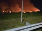 Kebakaran lahan kembali muncul di sekitar Jalan Tol Palembang–Indralaya (Palindra), Ogan Ilir, Sumatera Selatan Kebakaran lahan kembali muncul di sekitar Jalan Tol Palembang–Indralaya (Palindra), Ogan Ilir, Sumatera Selatan