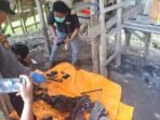 Warga Sungai Lilin, Musi Banyuasin, digegerkan penemuan kerangka manusia di pondok kebun karet. Polisi selidiki identitas dan penyebab kematian.