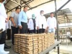 Sumsel1 Pemerintah Provinsi Sumatera Selatan (Sumsel) menggenjot kualitas produk peternakan dengan menyerahkan sejumlah sertifikat penting kepada para peternak ayam petelur di Kabupaten Banyuasin.
