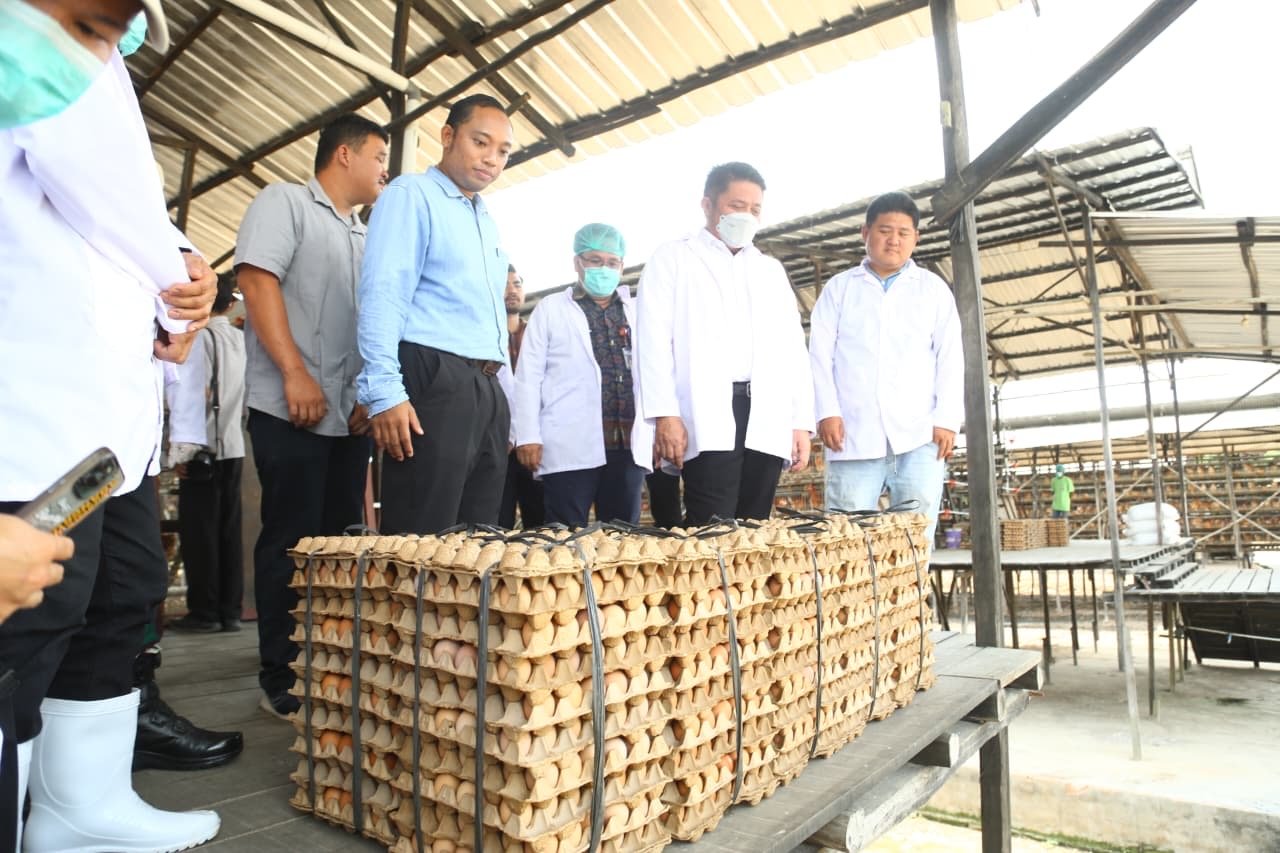 Pemerintah Provinsi Sumatera Selatan (Sumsel) menggenjot kualitas produk peternakan dengan menyerahkan sejumlah sertifikat penting kepada para peternak ayam petelur di Kabupaten Banyuasin.