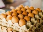 Harga telur ayam di Palembang naik hingga Rp 29 ribu/kg akibat lonjakan permintaan dari program makan bergizi gratis dan event besar, stok tetap aman.