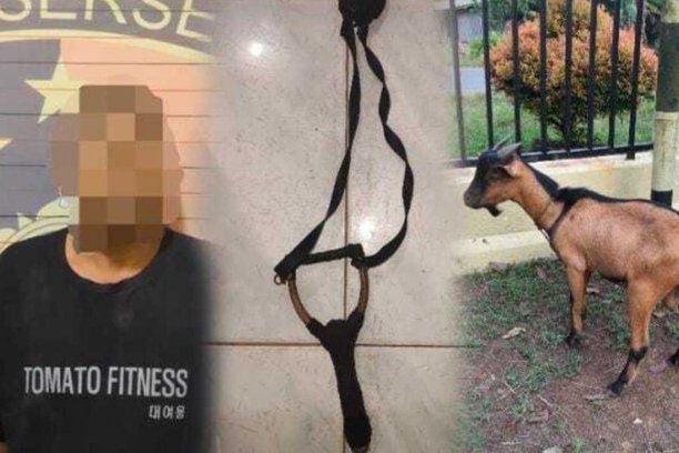 Unit Reskrim Polsek Rambang Lubai berhasil mengungkap kasus pencurian kambing di Muara Enim. Satu pelaku ditangkap warga, sementara satu lainnya masih buron.