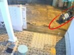 Dua pelaku gagal curi motor di Plaju, Palembang. Aksi terekam CCTV saat hujan dini hari. Korban sudah lapor polisi untuk penyelidikan lanjutan.