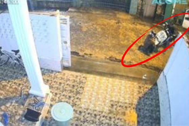 Dua pelaku gagal curi motor di Plaju, Palembang. Aksi terekam CCTV saat hujan dini hari. Korban sudah lapor polisi untuk penyelidikan lanjutan.