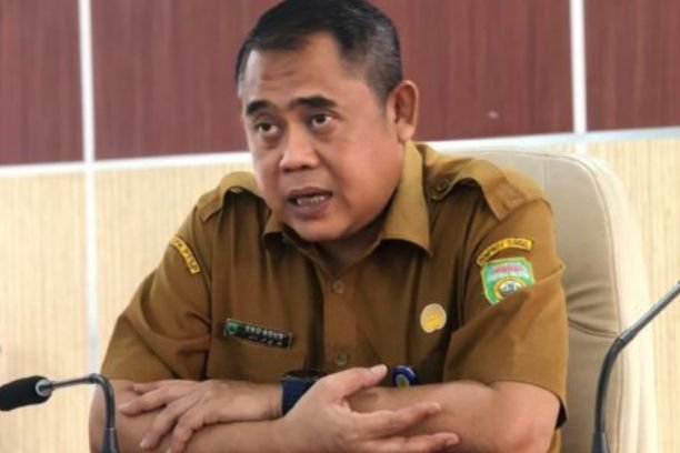 Pelaksana tugas (Plt) Sekretaris Dinas Penanaman Modal dan Pelayanan Terpadu Satu Pintu (DPMPTSP) Sumsel, Eko Agusrianto.